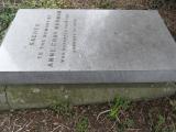 image of grave number 296297